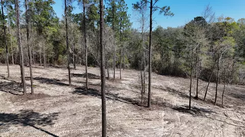 Nhn Yankee Road, Lucedale, MS 39452 photo 4