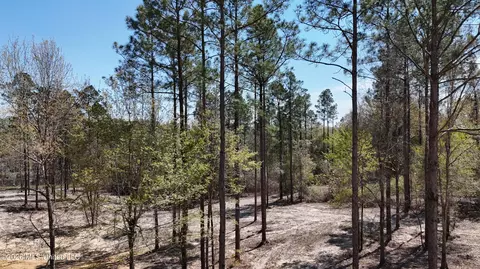 Nhn Yankee Road, Lucedale, MS 39452 photo 15
