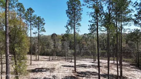 Nhn Yankee Road, Lucedale, MS 39452 photo 8