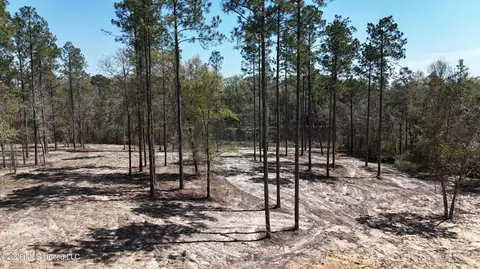 Nhn Yankee Road, Lucedale, MS 39452 photo 12