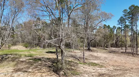 Nhn Yankee Road, Lucedale, MS 39452 photo 11