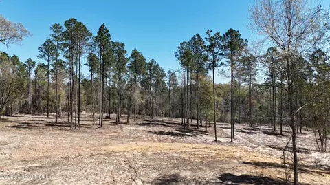Nhn Yankee Road, Lucedale, MS 39452 photo 13