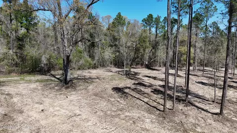 Nhn Yankee Road, Lucedale, MS 39452 photo 9