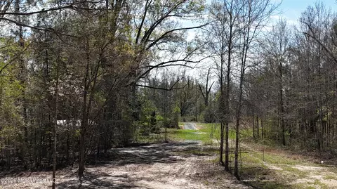 Nhn Yankee Road, Lucedale, MS 39452 photo 14