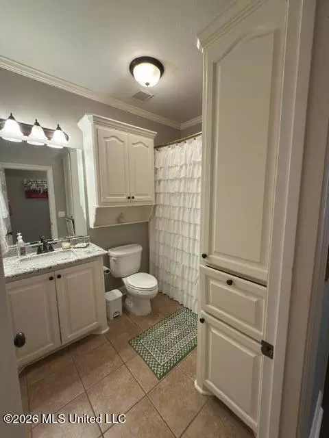 Bath - 104 Susan Ln, Brandon, MS 39042 photo 1 of 4