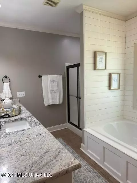 Bath - 104 Susan Ln, Brandon, MS 39042 photo 2 of 4