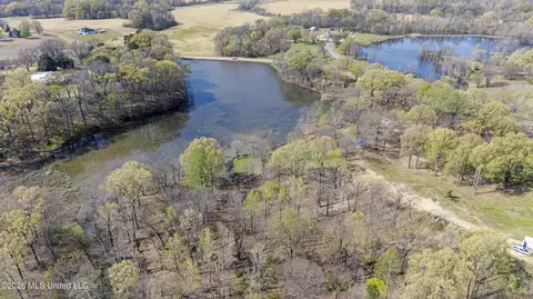 4234 Delta View Rd, Lake Cormorant, MS 38641