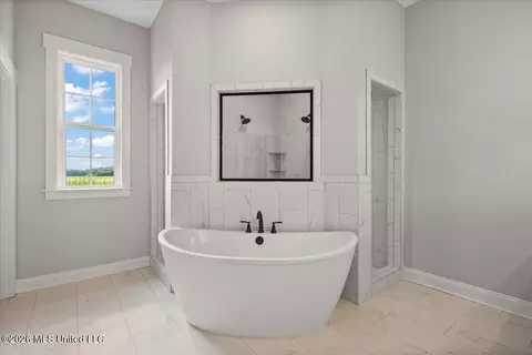 Bath - 854 Coahoma Ct, Nesbit, MS 38651 photo 1 of 4