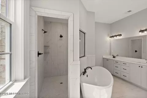 Bath - 854 Coahoma Ct, Nesbit, MS 38651 photo 3 of 4