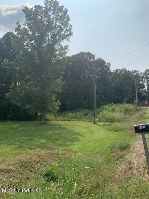 Other - 3049 Pleasant Hill Rd, Nesbit, MS 38651 photo 10 of 15