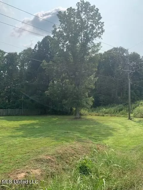 Other - 3049 Pleasant Hill Rd, Nesbit, MS 38651 photo 9 of 15