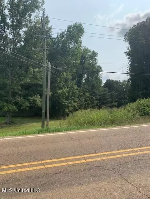 Other - 3049 Pleasant Hill Rd, Nesbit, MS 38651 photo 3 of 15