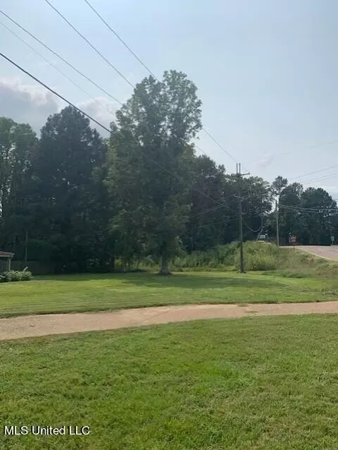 Other - 3049 Pleasant Hill Rd, Nesbit, MS 38651 photo 6 of 15