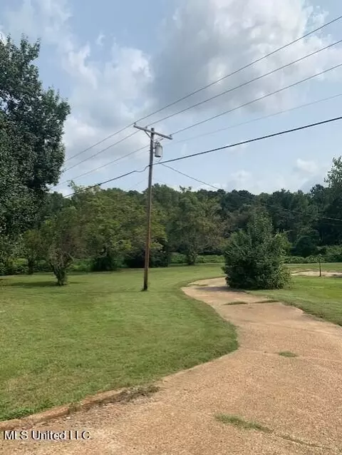 Other - 3049 Pleasant Hill Rd, Nesbit, MS 38651 photo 8 of 15