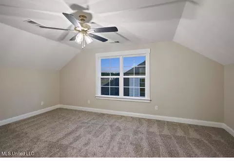 Other - 878 Coahoma Ct, Nesbit, MS 38651 photo 6 of 8