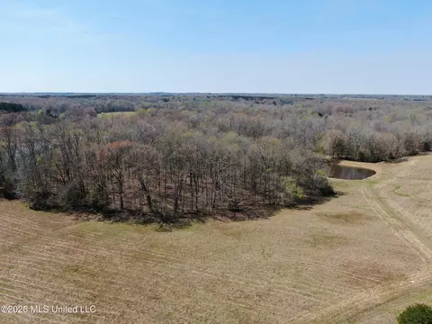 1800 Concord Rd, Lamar, MS 38642 photo 15