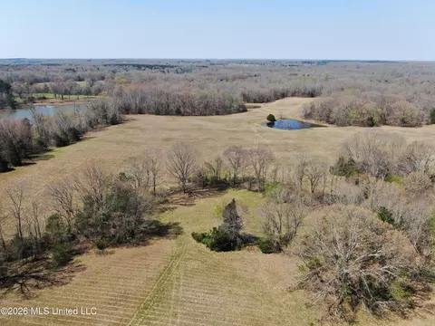 1800 Concord Rd, Lamar, MS 38642 photo 9