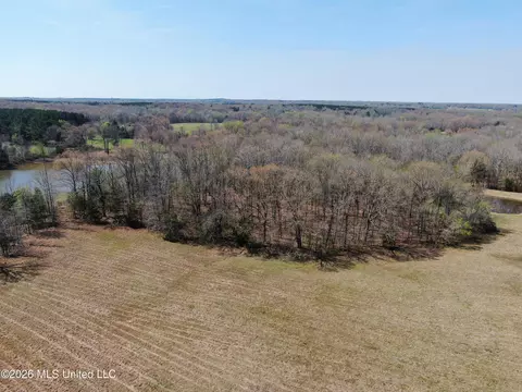 1800 Concord Rd, Lamar, MS 38642 photo 12