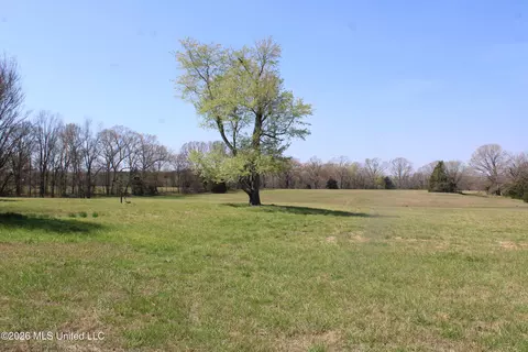1800 Concord Rd, Lamar, MS 38642 photo 19