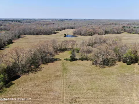 1800 Concord Rd, Lamar, MS 38642 photo 8