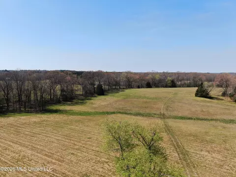 1800 Concord Rd, Lamar, MS 38642 photo 2