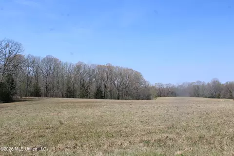 1800 Concord Rd, Lamar, MS 38642 photo 34