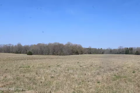 1800 Concord Rd, Lamar, MS 38642 photo 33