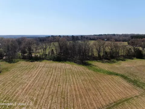 1800 Concord Rd, Lamar, MS 38642 photo 6