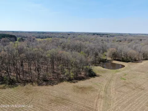 1800 Concord Rd, Lamar, MS 38642 photo 16