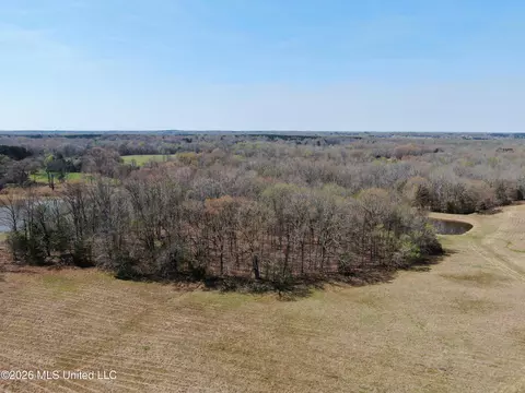 1800 Concord Rd, Lamar, MS 38642 photo 13