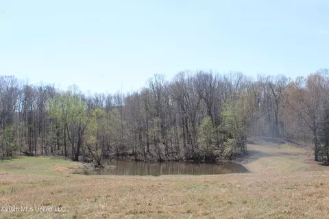 1800 Concord Rd, Lamar, MS 38642 photo 37