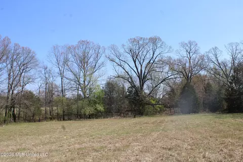 1800 Concord Rd, Lamar, MS 38642 photo 31