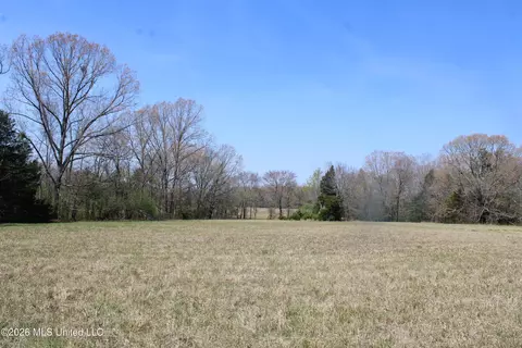 1800 Concord Rd, Lamar, MS 38642 photo 30