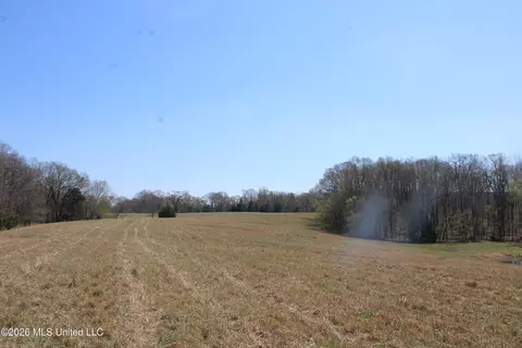 1800 Concord Rd, Lamar, MS 38642 photo 39