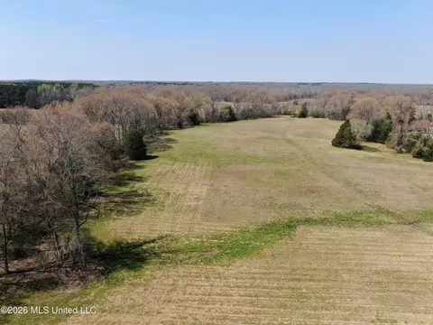 1800 Concord Rd, Lamar, MS 38642 photo 5