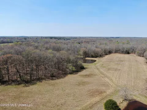 1800 Concord Rd, Lamar, MS 38642 photo 14