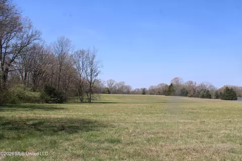 1800 Concord Rd, Lamar, MS 38642 photo 22