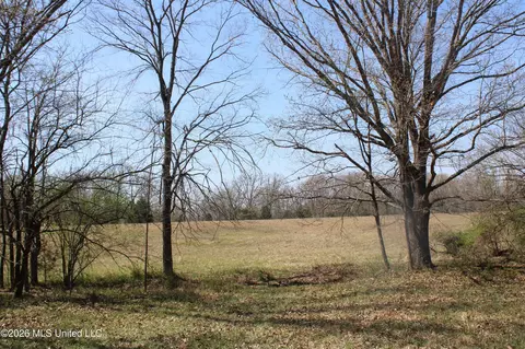 1800 Concord Rd, Lamar, MS 38642 photo 43