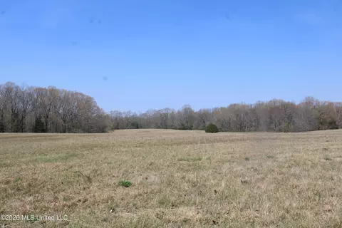 1800 Concord Rd, Lamar, MS 38642 photo 32
