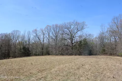 1800 Concord Rd, Lamar, MS 38642 photo 38