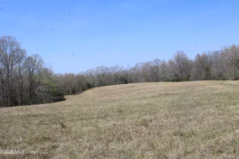 1800 Concord Rd, Lamar, MS 38642 photo 35