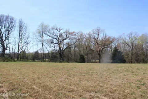 1800 Concord Rd, Lamar, MS 38642 photo 27