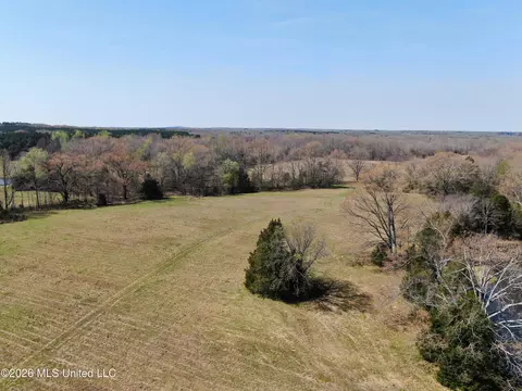 1800 Concord Rd, Lamar, MS 38642 photo 7