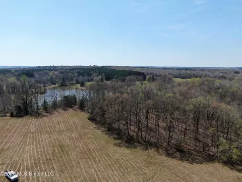 1800 Concord Rd, Lamar, MS 38642 photo 17