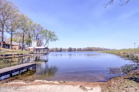 View/Area - 2160 Taryn Ln, Nesbit, MS 38651 photo 7 of 10