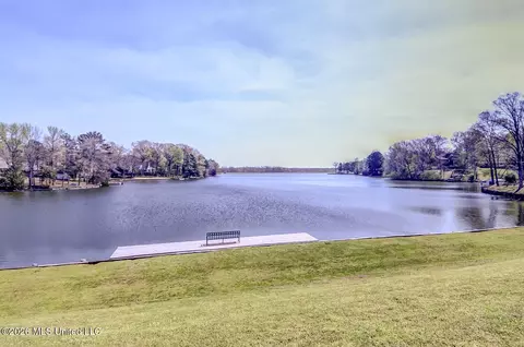 View/Area - 2160 Taryn Ln, Nesbit, MS 38651 photo 10 of 10