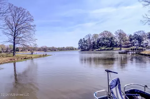 View/Area - 2160 Taryn Ln, Nesbit, MS 38651 photo 2 of 10