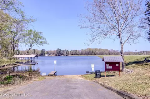 View/Area - 2160 Taryn Ln, Nesbit, MS 38651 photo 6 of 10