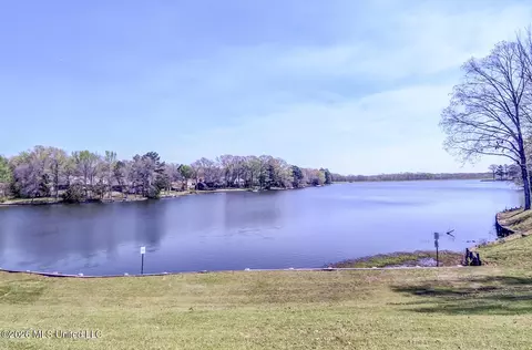 View/Area - 2160 Taryn Ln, Nesbit, MS 38651 photo 8 of 10