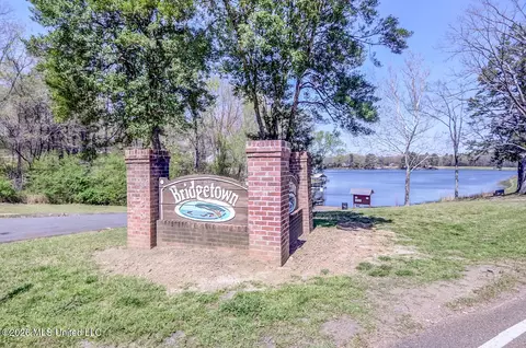 Other - 2160 Taryn Ln, Nesbit, MS 38651 photo 19 of 19